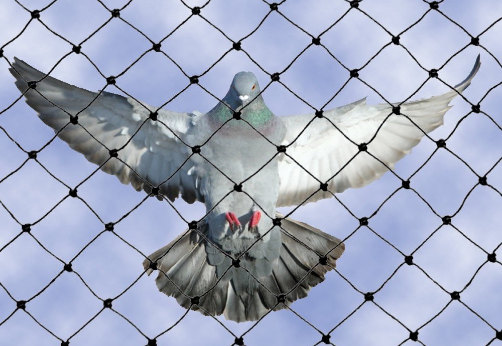 heavy-duty-bird-netting2